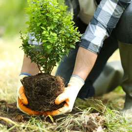 Ground Gloves